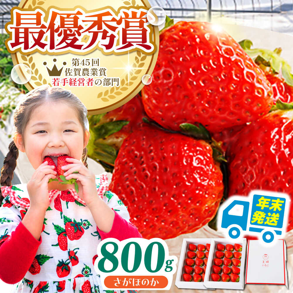 【ふるさと納税】【先行予約】【年末発送】王様のいちご さがほのか 800g（400g×2箱） いちご イチゴ 苺 | 佐賀県 江北町 |【むらおか農園】[HAF029]