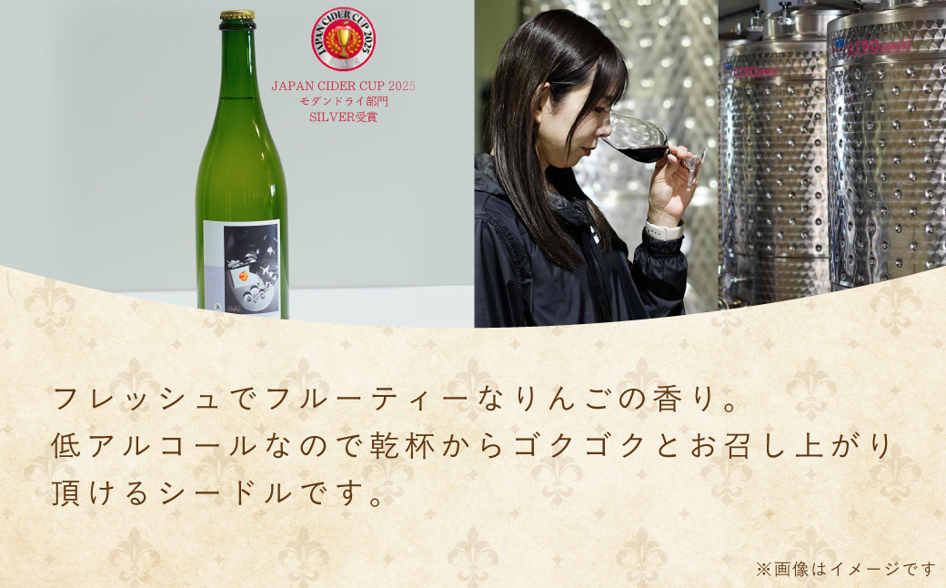 多古ワイン Cidre(シードル)【りんごのスパークリングワイン】750ml【配送不可地域：離島】【1617562】 TAKM005