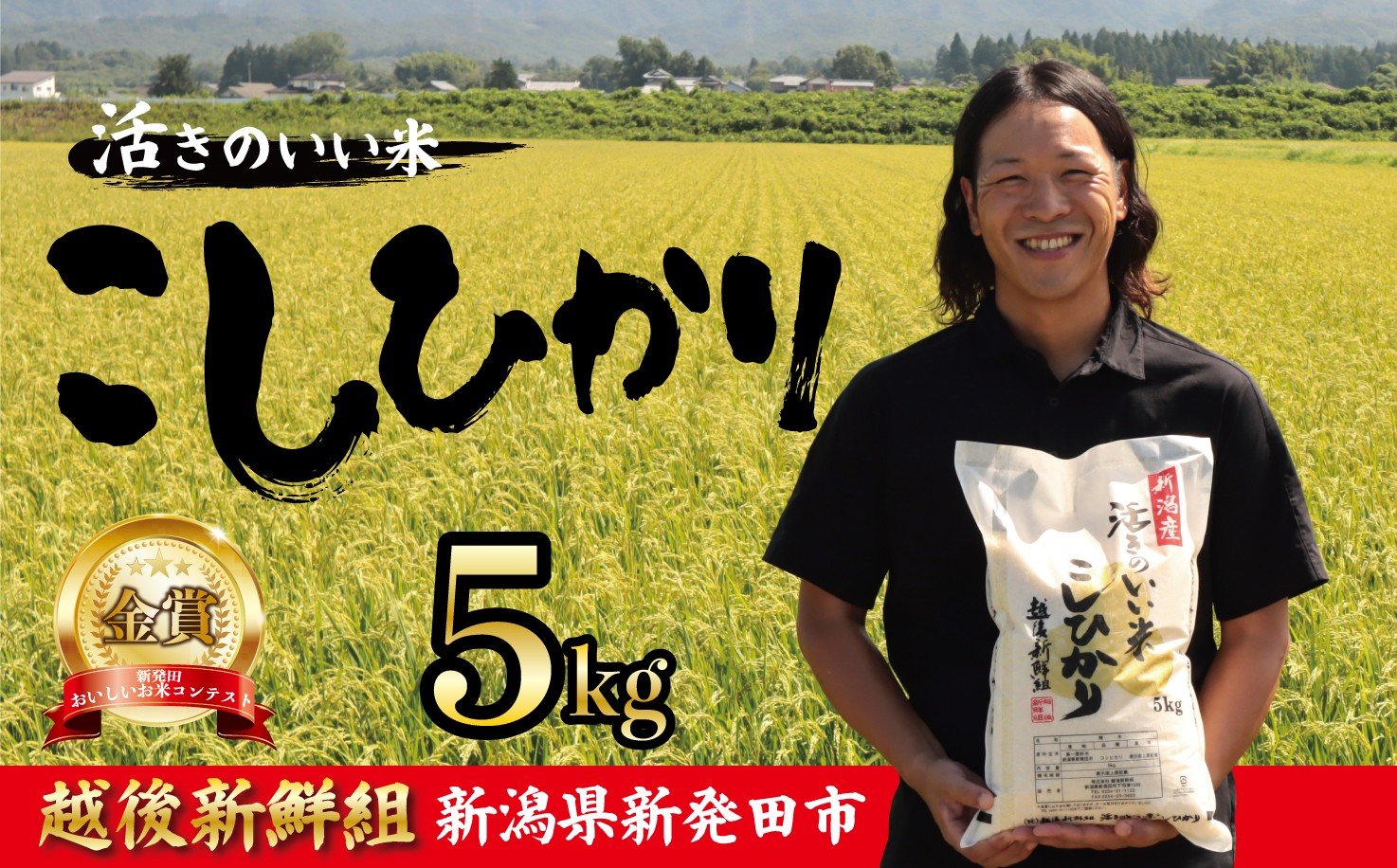 
            【先行予約】金賞米 コシヒカリ 5kg 令和7年産 選べる 配送月 こしひかり 精米 白米 ご飯 おにぎり 弁当 新潟県産 新発田産 新潟 米 お米 こめ 受賞 越後新鮮組 新潟県 米 新潟県 新発田市 shinsengumi001
          