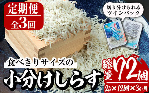 
【定期便・全3回(連続)】小分けしらす(総量約1.8kg・25g×24個×3回)シラス 魚 魚介類 おつまみ 冷凍【E-23】【水永水産】
