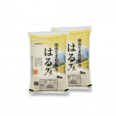 ふるさと納税 藤沢市 神奈川県産はるみ　5kg×2袋　精米