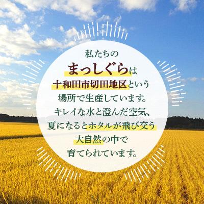 ふるさと納税 十和田市 【令和7年産】十和田市産米「まっしぐら」精米 10kg(5kg2袋) |  | 01