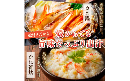 【大好評！カニ酢付き】厳選！！釜茹で 本ズワイガニ ２Lサイズ4肩