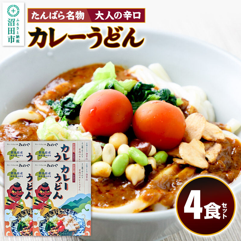 【ふるさと納税】みのや 大人の辛口カレーうどん 4食セット ホットパック冷凍品