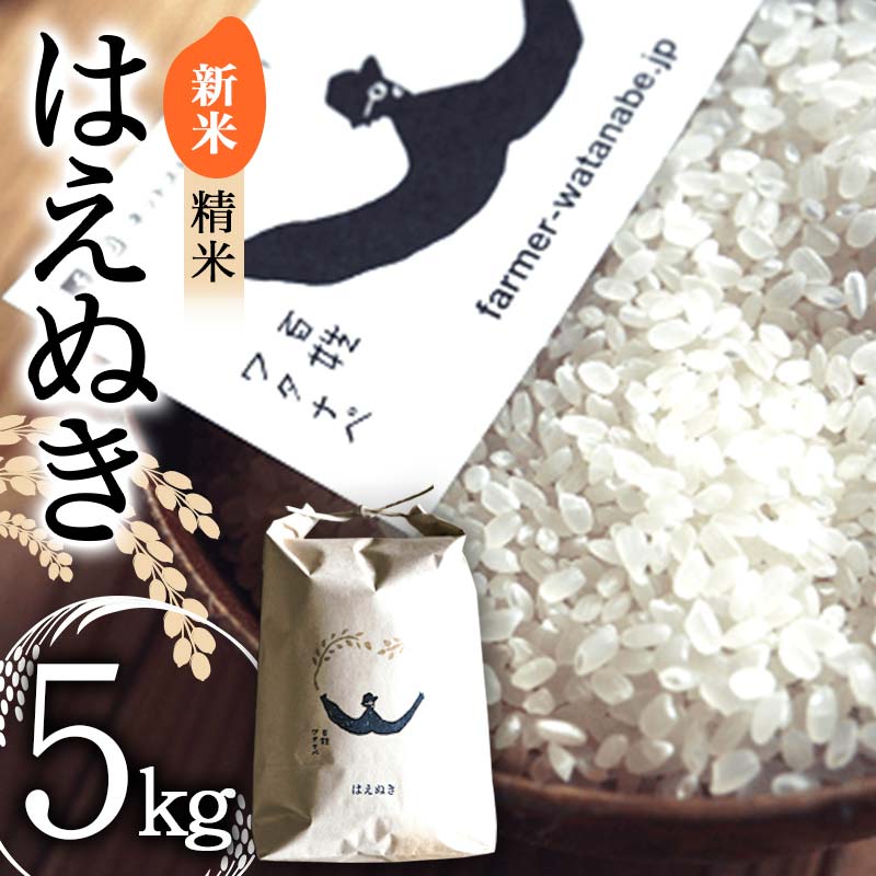 【ふるさと納税】【令和7年産 新米 先行予約】 はえぬき (精米) 5kg 《令和7年10月上旬～発送》 『最上園』 米 白米 ご飯 農家直送 山形県 南陽市 [1680-R7]