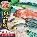 【ふるさと納税】【全6回定期便】旬のおまかせ 厳選鮮魚セット 3～4人前(2～3魚種) 【長井水産株式会社】[AKAJ016]