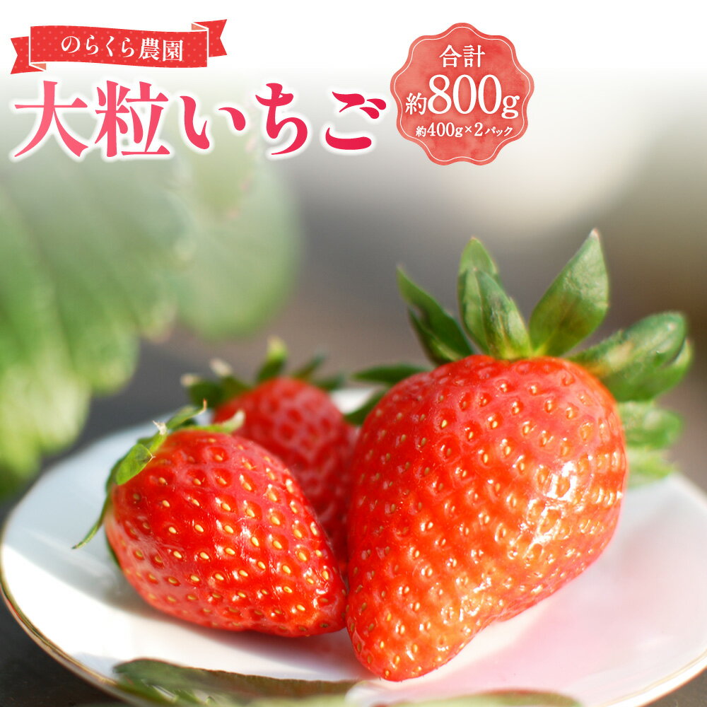 【ふるさと納税】【指定日必須】のらくら農園 大粒いちご 計800g（400g×2ケース） いちご イチゴ 苺 大粒 章姫 フルーツ くだもの 果物 果実 デザート 冷蔵 三重県産 国産 三重県 桑名市 送料無料 【2026年1月下旬～3月下旬迄発送予定】