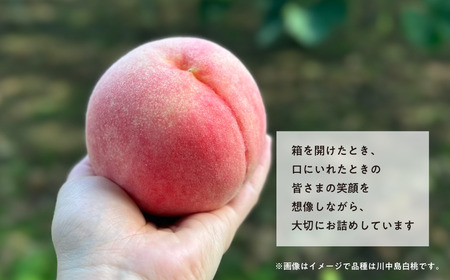 【きよとうファーム】厳選品 旬の桃（品種おまかせ） 5-8玉入 (岡山県産)【KF-A015-01】