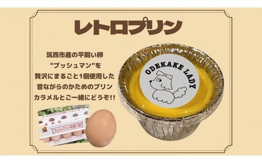 【 ODEKAKE LADY 】 レトロプリン 6個 セット 贅沢 平飼い卵 昔プリン ぷりん 洋菓子 お菓子 スイーツ デザート [BW068ci]