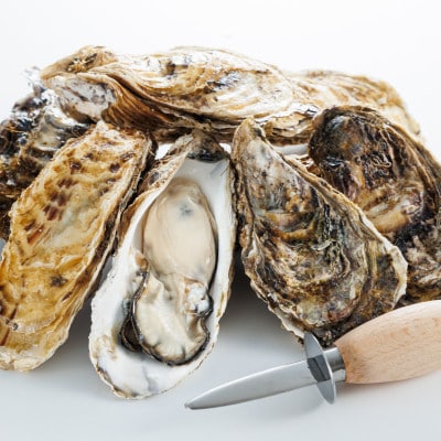 【先行受付】仙鳳趾名産 牡蠣 100g～149g×40コ+かきナイフ付き かき漁師直送 K1-5【配送不可地域：離島・沖縄県・信越、北陸・東海・近畿・中国・四国・九州】