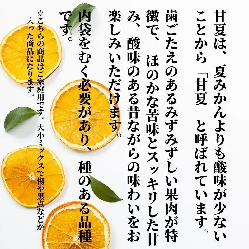 【2027年2月下旬頃から順次発送】甘夏 家庭用 約5kg | 愛媛 愛媛県産みかん 蜜柑 ミカン mikan みかん あまなつ 柑橘 お取り寄せ グルメ 期間限定 数量限定 酸味 果物 旬 愛媛県 