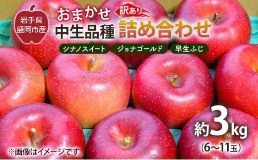 盛岡から「農で人をつなぐ」藤与果樹園：《訳アリ》おまかせ中生品種詰め合わせ（シナノスイート、ジョナゴールド、早生ふじ、ぐんま名月、もりのかがやき等から2種以上）3kg  訳アリ 不揃い 傷 規格外 フルーツ 果物 旬のフルーツ 旬の果物 旬 冬 岩手 盛岡 産地直送 玉数指定不可 詰め合わせ 岩手 盛岡