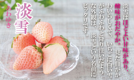 淡雪＆パールホワイト（各１パック）220g×2（合計440g）農家直送 水田苺園　農家 直送品 果物 くだもの フルーツ 人気 ランキング 高評価 苺 イチゴ  B140-038