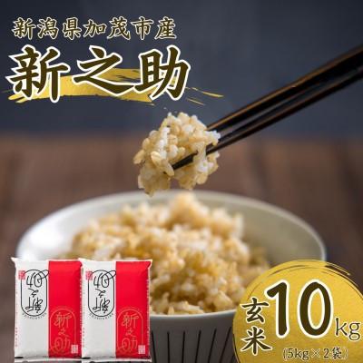 ふるさと納税 加茂市 【先行予約】令和8年産　新之助　玄米10kg(5kg×2袋)