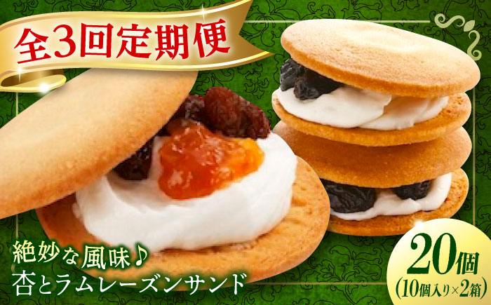 【全3回定期便】お菓子  杏とラムレーズンサンド 10個入り×2　お菓子 あんず おやつ 菓子 お茶 レーズン スイーツ 広島県福山市/有限会社勉強堂 [BAFL019]