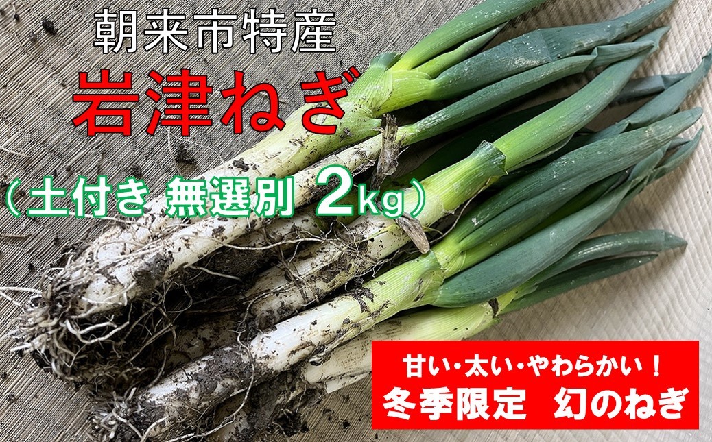 
            【先行予約】朝来市特産 岩津ねぎ 土付き 太さ無選別 2kg（箱入り）【AGRI CREW 株式会社】 岩津ねぎ 岩津ネギ 日本農業遺産 新鮮 国産 甘い 太い 柔らかい 香り豊か 冬季限定 幻のねぎ 天ぷら 鍋 焼きねぎ ネギ ねぎ すき焼き 朝来市 限定 TVで紹介 無選別 
          