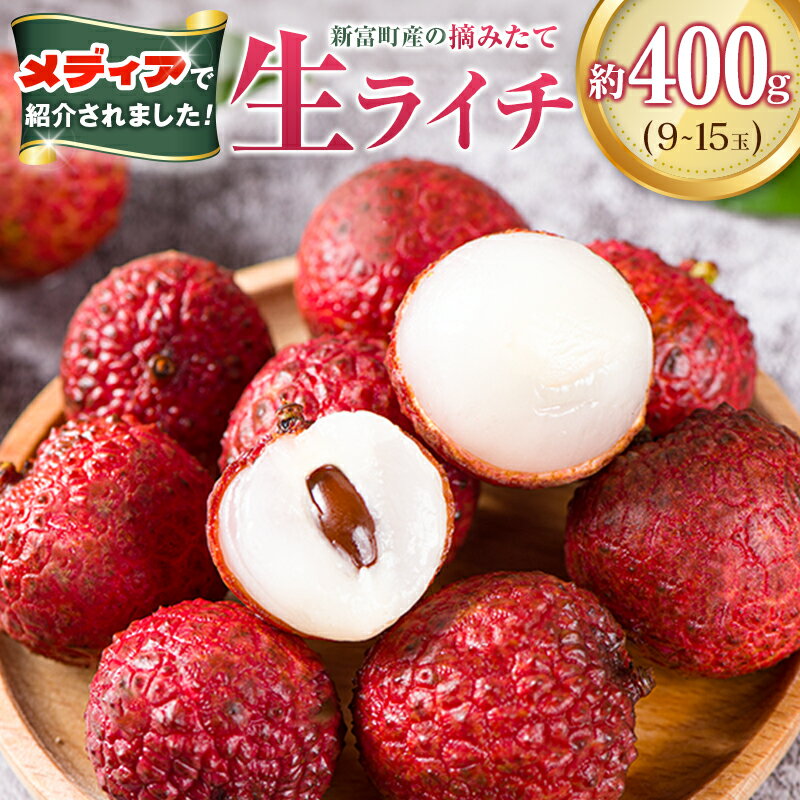 【ふるさと納税】＜数量限定＞新富町産 ライチ（約400g）国産 フルーツ 果物 贈答品