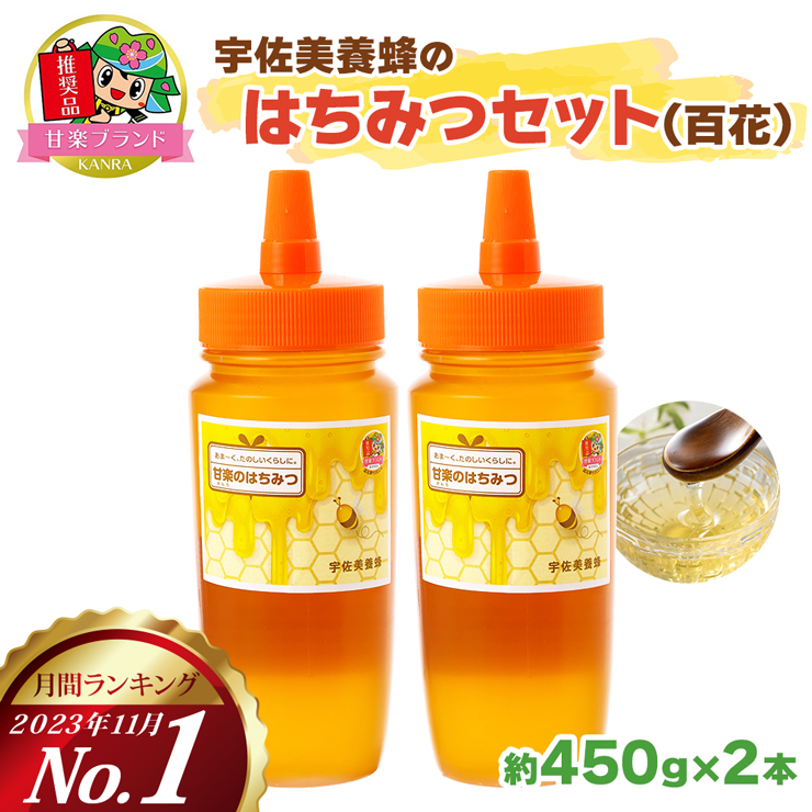 宇佐美養蜂のはちみつセット (百花) 450g×2本「KANRAブランド認定商品」｜国産 純粋はちみつ 蜂蜜 ハチミツ 無添加 とんがり容器 ボトル セット ハニー 産地直送 [0209]