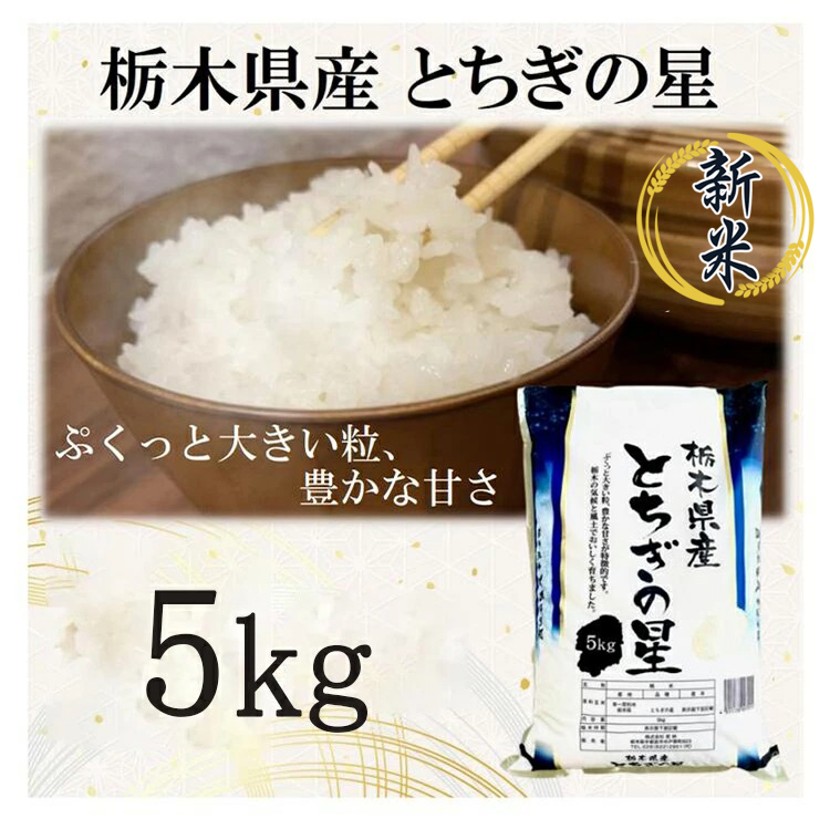 【令和7年産】栃木県産とちぎの星（精米）5kg×1袋 ｜ お米 白米 一等米 送料無料 栃木県 宇都宮市　※離島への配送不可