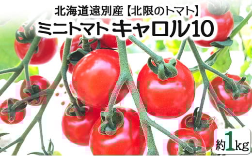 【北限のミニトマト】遠別産ミニトマト（赤のみ1kg）