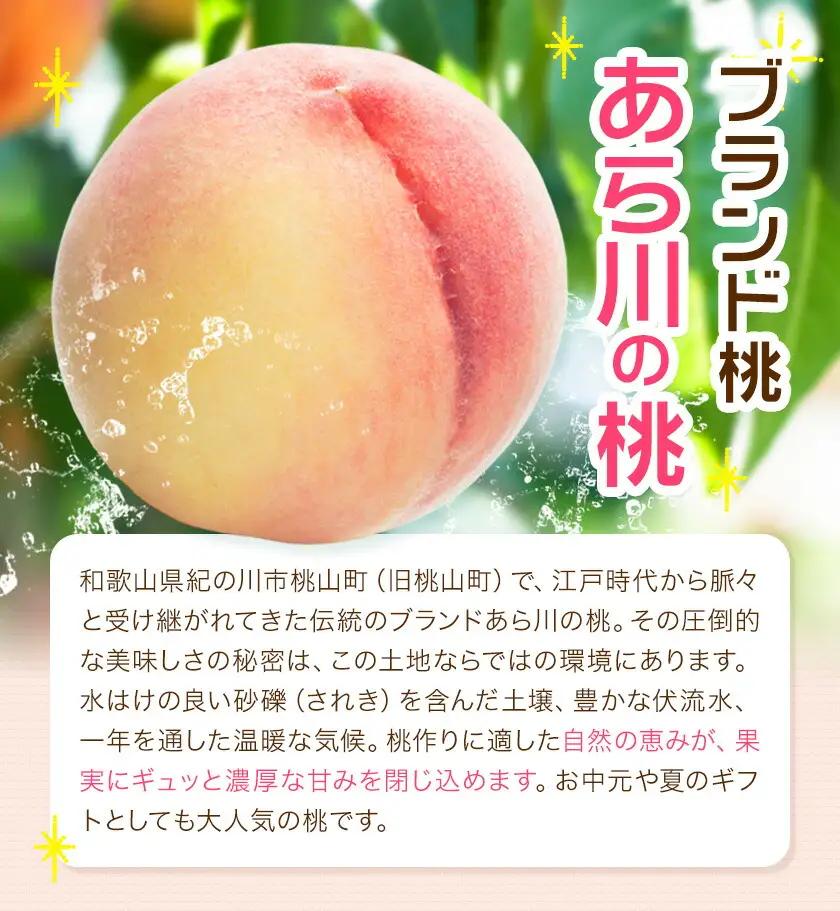 桃 niki農園 直送 あらかわの桃 約2kg 5-8玉 And《2026年6月下旬-8月上旬頃出荷》和歌山県 紀の川市 フルーツ 果物 あら川の桃 【玉数指定不可】
