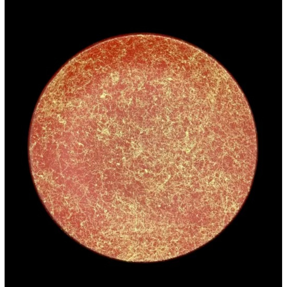 フラットプレート（D）乱糸（マット仕上げ）本朱［NF106］ 303446_CU90049VC01