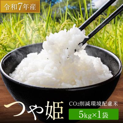 ふるさと納税 角田市 【令和7年産】つや姫 5kg×1 CO2削減 環境配慮米|7年産米 つや姫 ブランド米