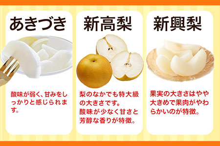 梨 完熟梨 ( あきづき 新高梨 新興梨 のいずれか) フルーツ 果物 旬 期間限定 梨 約4.5~5kg (8～18玉) 熊本県長洲町産 《9月上旬-12月中旬頃出荷》大渕観光梨園 