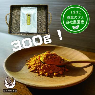 ふるさと納税 大月市 粉末秋うこん300g