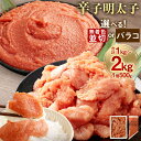 【ふるさと納税】＜選べる＞ 辛子明太子 合計1kg／1.5kg／2kg 1個500g 並切／バラコ 無着色 めんたいこ 明太子 切れ子 切子 小分け たらこ 辛子めんたいこ ご飯のお供 酒の肴 おつまみ 福岡 お取り寄せ グルメ 冷凍 送料無料