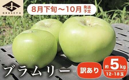 【訳あり】 クッキングアップル ブラムリー 約5kg 12～18玉 ［小布施屋］ 傷 キズ 不揃い 規格外 家庭用 令和8年産  【2026年8月下旬～10月発送】  ［A-47］