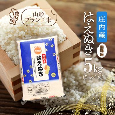 ふるさと納税 庄内町 庄内産 はえぬき無洗米 5kg 令和7年産 2025年産 ブランド米