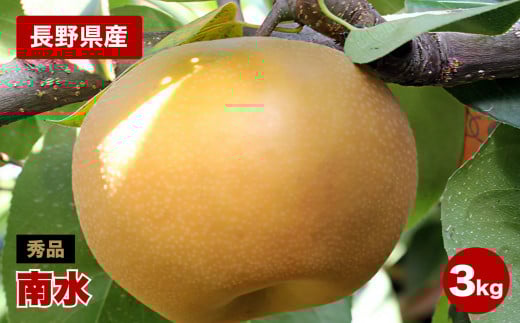 ジューシーで甘い!長野県産 なし (南水) 約3キロ 秀品〈2025年9月中旬～10月中旬発送〉| 果物 くだもの フルーツ 梨 なし 南水 長野県 信州 南信州 飯田市