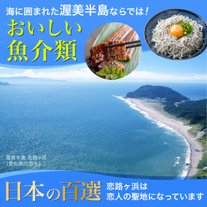 中型タクシーで田原市観光プラン 選べる 3時間コース 観光 旅行 タクシー いちご狩り 岬 灯台 菜の花 菜の花祭り 田原市 渥美半島 愛知県