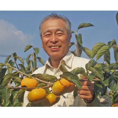 ふるさと納税 かつらぎ町 和歌山県産たねなし柿 約7.5kg LまたはMサイズ・36個または40個入り |  | 03