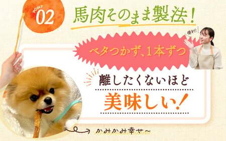 ＜ R8年熊本地震復興支援 ＞ 馬肉アキレスジャーキー 8袋 35g×8袋 280g ペット用 ジャーキー 馬肉 おやつ ヘルシー 無添加 手作り製法 ペット 愛犬 犬用