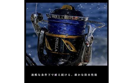 シマノ 釣具 ステラ SW 5000HG