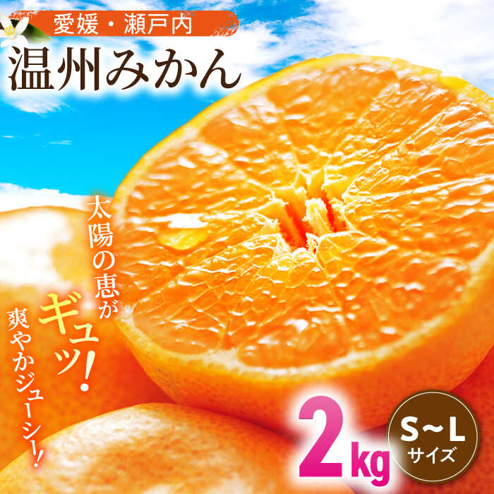 【ふるさと納税】【11月中旬より順次発送】温州みかん（S〜Lサイズ）2kg 大洲市/沢井青果有限会社[AGBN046] 先行予約 みかん ミカン 蜜柑 温州ミカン 温州みかん 果物 くだもの フルーツ 愛媛県産 大洲市産 産地直送 おすすめ 人気 お取り寄せ 送料無料 贈答 ギフト