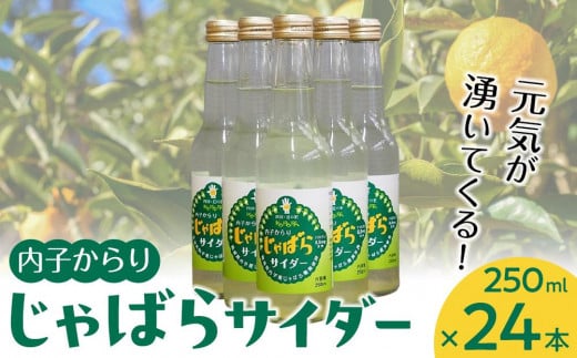 道の駅からり直送！内子からりじゃばらサイダー（１ケース２４本入り）【飲料 ソフトドリンク 人気 おすすめ 送料無料】