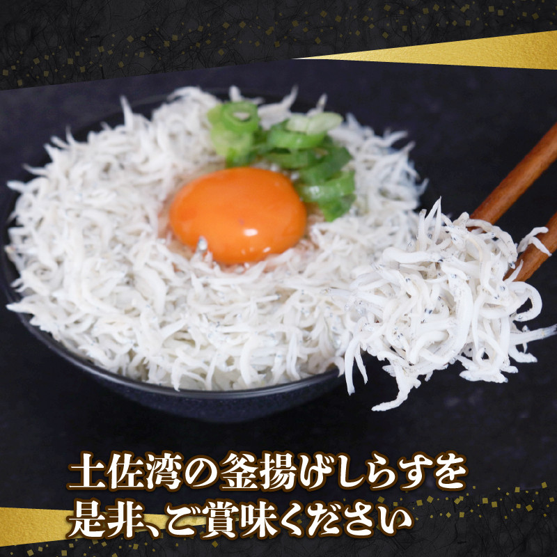 釜揚げしらす 3kg 小分け 冷凍配送 お取り寄せ しらす丼 丼ぶり 魚 しらす ご飯 ごはん シラス丼 魚介 小魚 鮮魚 海鮮 ちりめんじゃこ おつまみ ふりかけ 産地直送 高知県産しらす 高知県 