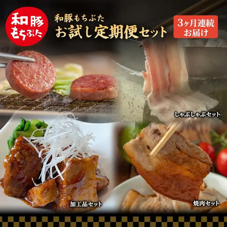 【定期便3回】和豚 もちぶた お試しセット 3ヶ月連続 ソーセージ 角煮 豚肉