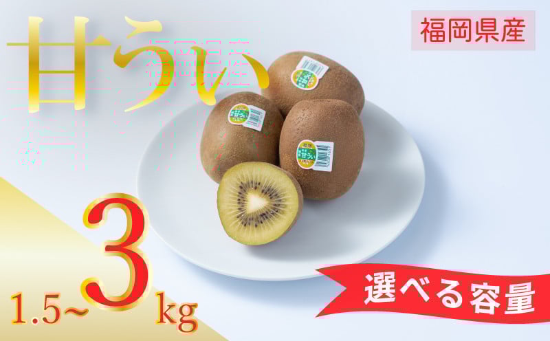 
            【先行予約 2026年10月下旬～11月末発送】福岡限定!ブランドキウイ《甘うぃ(あまうぃ)》約1.5kg箱(12-15玉) 約3kg箱(24-30玉) 福岡 川崎町 キウイ きうい kiui キウイフルーツ フルーツ ふるーつ 果物 くだもの
          