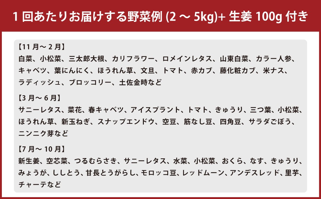 【定期便12回】旬の野菜の詰め合わせと栽培期間中農薬不使用の生姜100g付き