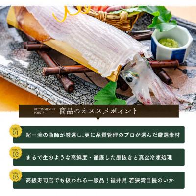 ふるさと納税 若狭町 若狭湾産 白イカ(剣先イカ) 3〜6杯 (スミ抜き/冷凍) |  | 01