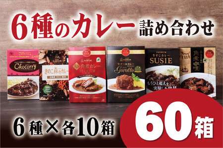 【60箱！贅沢カレーストック！】6種のカレー詰め合わせ 各10箱【豊味館】6種のカレー詰め合わせ 各10箱【豊味館】カレー レトルト 簡単 レトルトカレー 人気 大容量