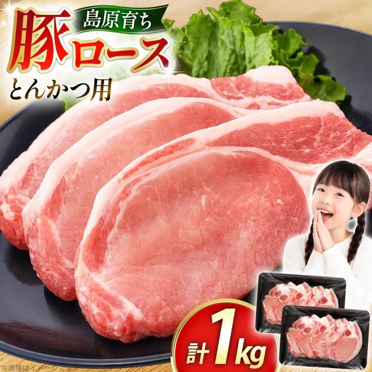 AK032 豚ロース とんかつ用 500g 2パック 計1kg