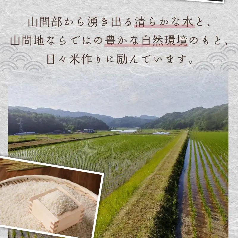 【令和8年】コシヒカリ 玄米 5kg コシヒカリ 京丹後市