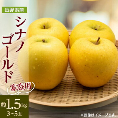 【ふるさと納税】【家庭用】【2025年発送】　長野県産 りんご　シナノゴールド　約1.5kg(3～5玉程度)【1574743】