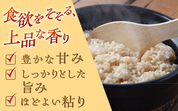 お米 米 ご飯 玄米 ごはん コメ お弁当 夢しずく 10㎏