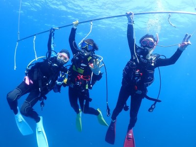 【初心者・ブランクダイバー大歓迎】 2ボートダイビング（1名） スキューバダイビング チケット ダイビング　串本ダイビングセンター 【kdc001】